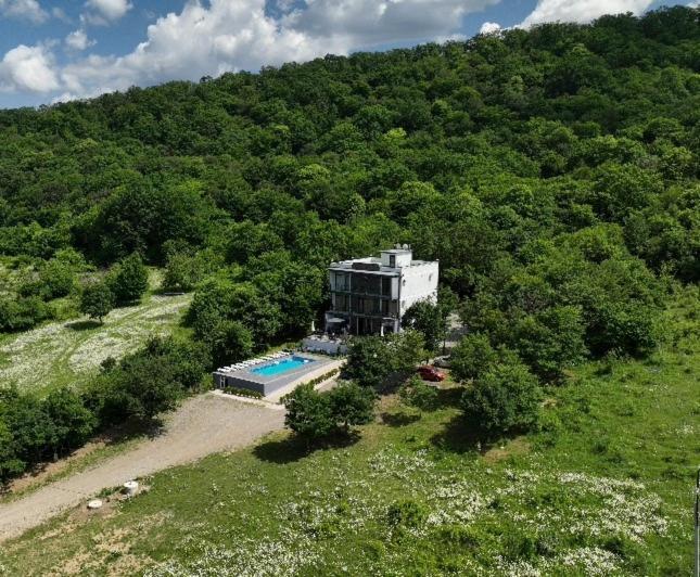 Villa Lapa Telavi Ngoại thất bức ảnh